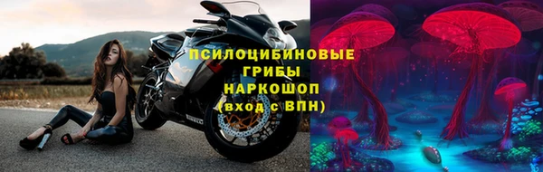стаф Нефтекумск